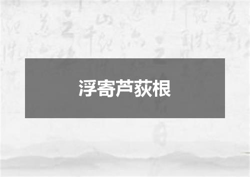 浮寄芦荻根