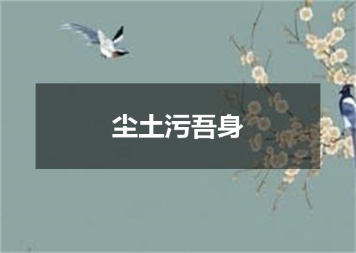 尘土污吾身