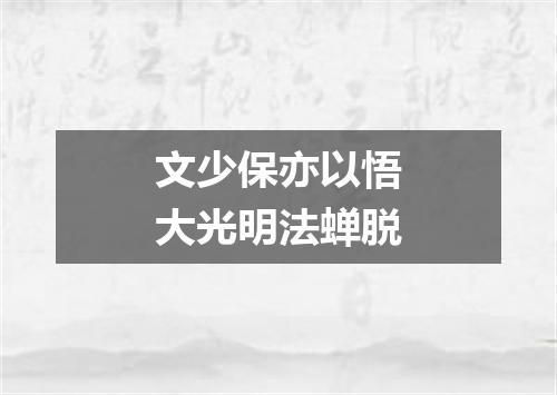文少保亦以悟大光明法蝉脱