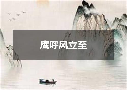 鹰呼风立至