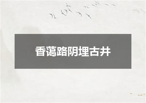 香蔼路阴埋古井