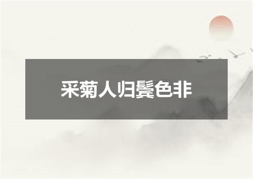 采菊人归鬓色非