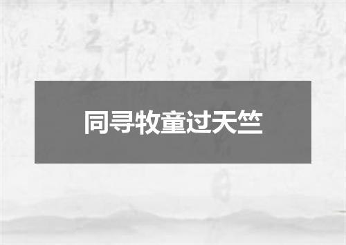 同寻牧童过天竺