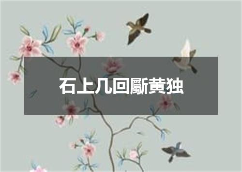 石上几回斸黄独