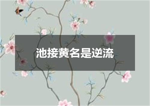 池接黄名是逆流