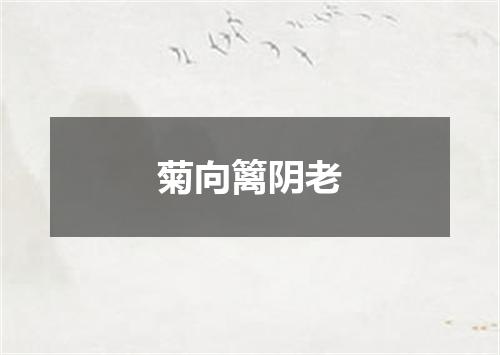 菊向篱阴老