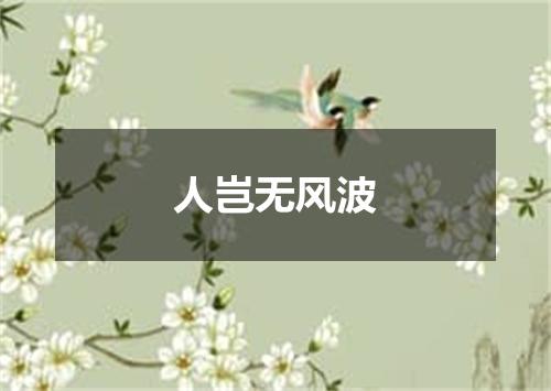 人岂无风波