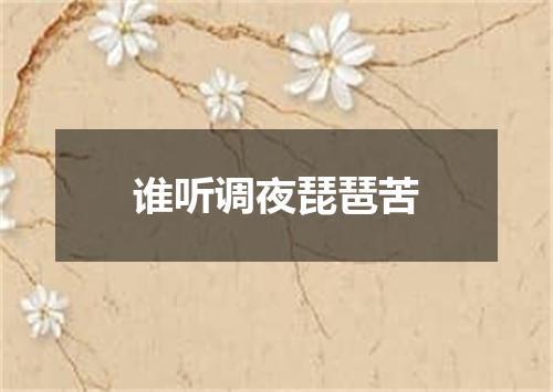 谁听调夜琵琶苦