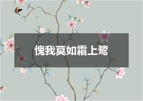 愧我莫如霜上鹭