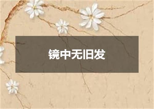 镜中无旧发