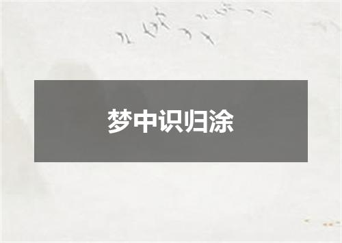 梦中识归涂