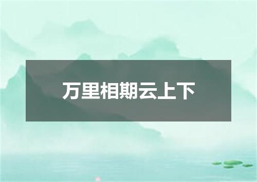 万里相期云上下