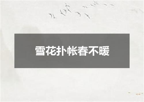 雪花扑帐春不暖