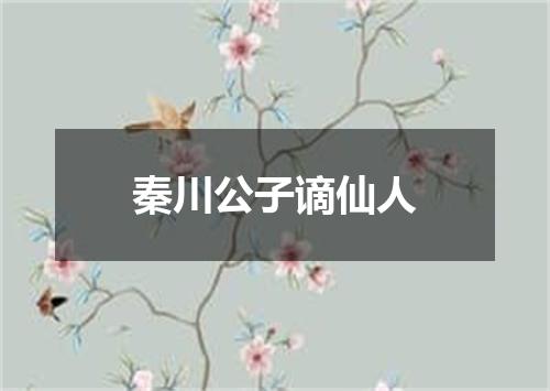 秦川公子谪仙人