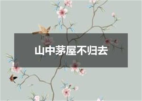 山中茅屋不归去