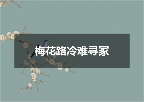 梅花路冷难寻冢
