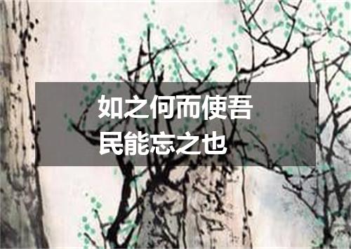如之何而使吾民能忘之也