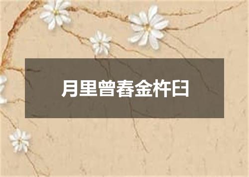 月里曾舂金杵臼