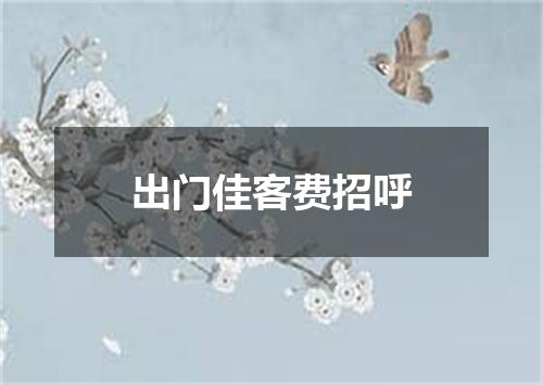 出门佳客费招呼
