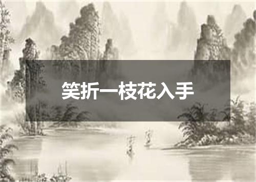 笑折一枝花入手