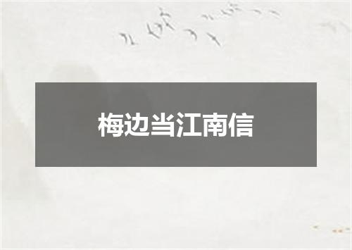 梅边当江南信