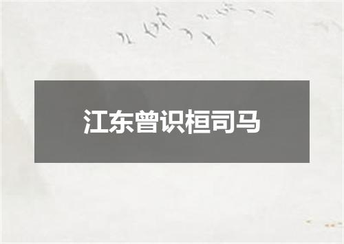 江东曾识桓司马