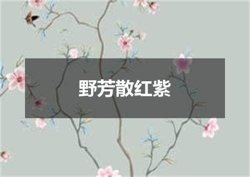 野芳散红紫