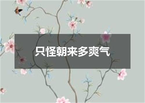 只怪朝来多爽气