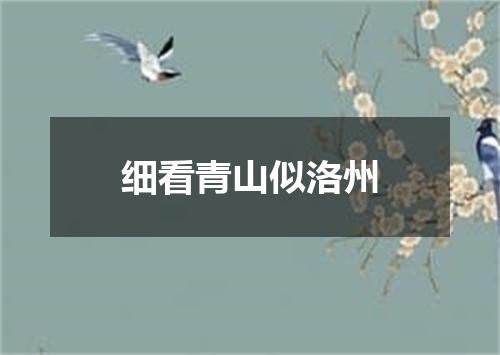 细看青山似洛州