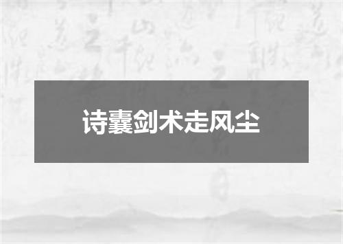 诗囊剑术走风尘