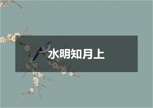 水明知月上