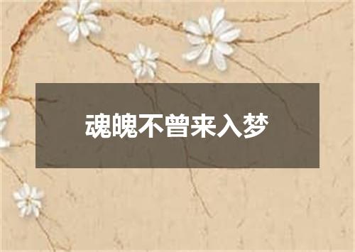 魂魄不曾来入梦