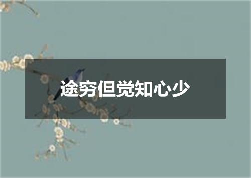 途穷但觉知心少