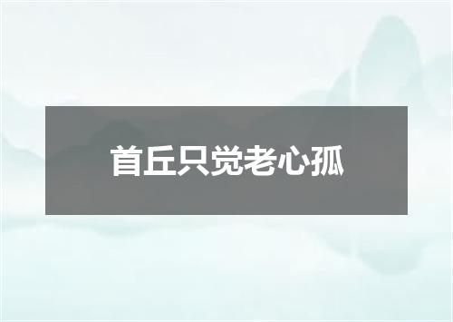 首丘只觉老心孤
