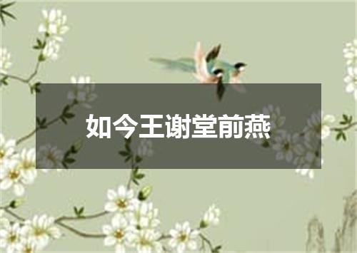 如今王谢堂前燕