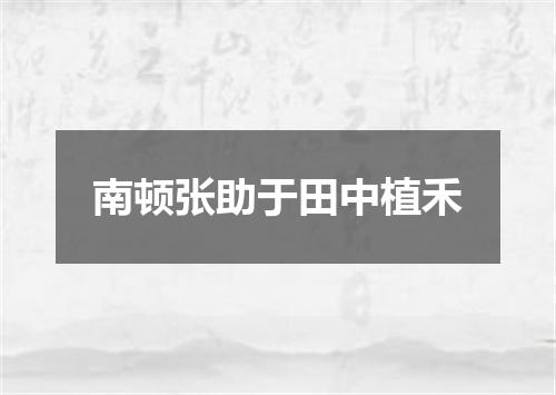 南顿张助于田中植禾
