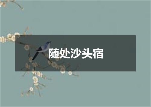随处沙头宿