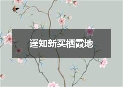 遥知新买栖霞地