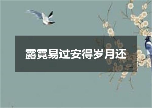 露霓易过安得岁月还