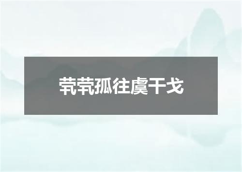 茕茕孤往虞干戈