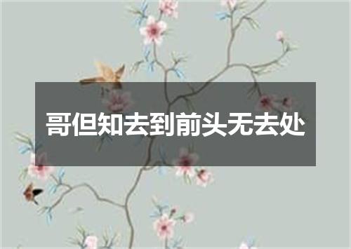 哥但知去到前头无去处