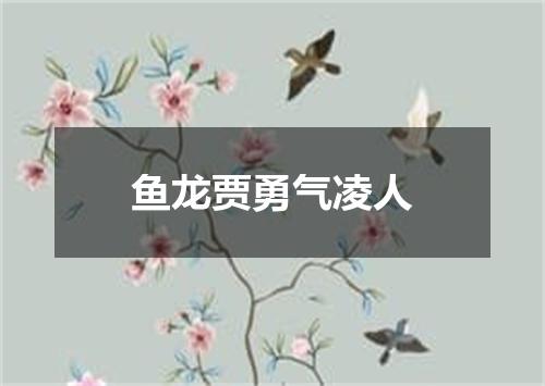 鱼龙贾勇气凌人