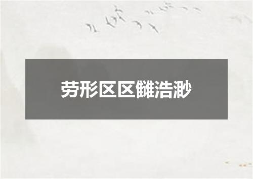 劳形区区雠浩渺