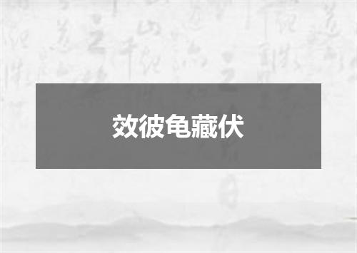 效彼龟藏伏