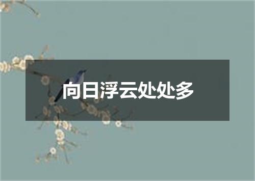 向日浮云处处多