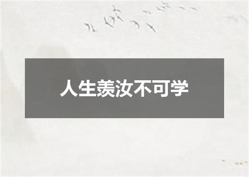 人生羡汝不可学