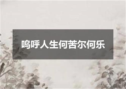 呜呼人生何苦尔何乐