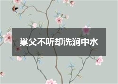 巢父不听却洗涧中水