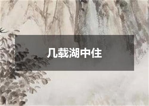 几载湖中住