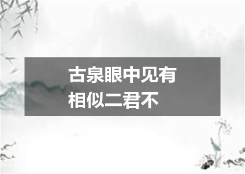 古泉眼中见有相似二君不